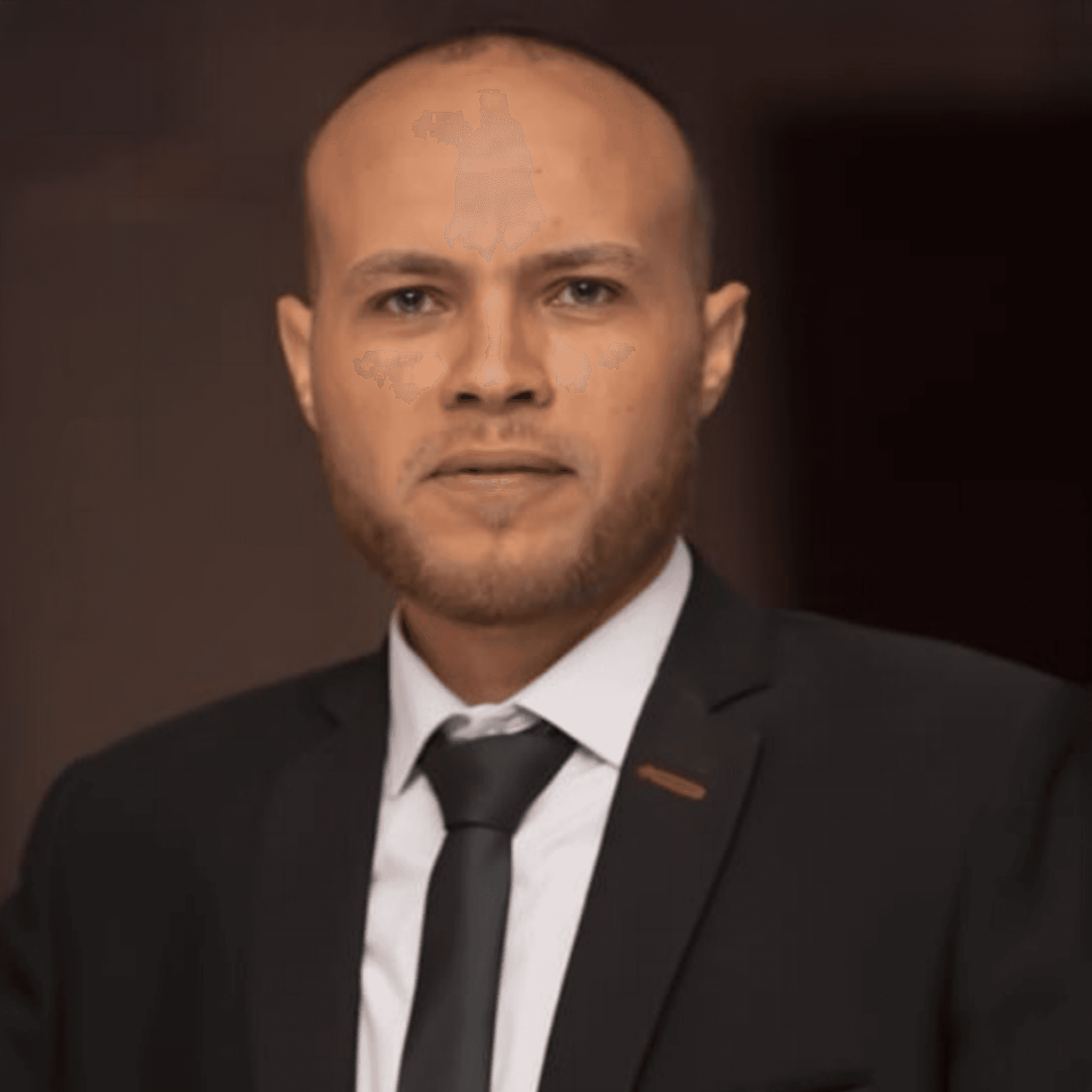 Ing. Amr Abdel Fattah